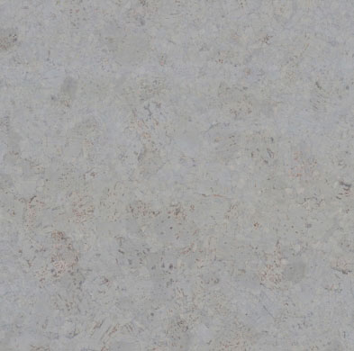 Champagner Ash cork flooring