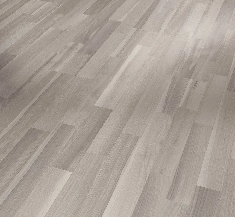 Acacia Grey